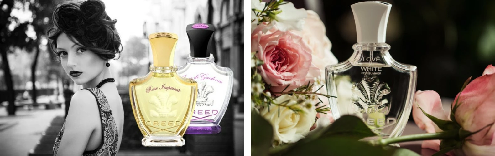 Creed – shop 1 Creed – shop -Creed – shop 未命名 1